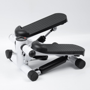 Fitness Stepper